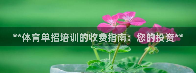 耀世集团罗文斌