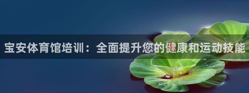 耀世小说全文免费阅读：宝安体育馆培训：全面提升您的健