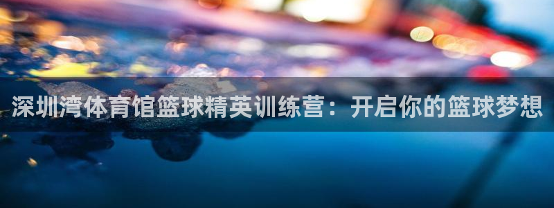 耀世而来是什么意思：深圳湾体育馆篮球精英训练营：开启