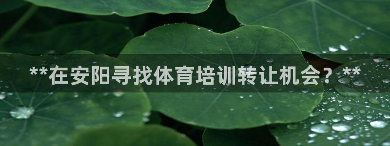 耀世意思：**在安阳寻找体育培训转让机会？**