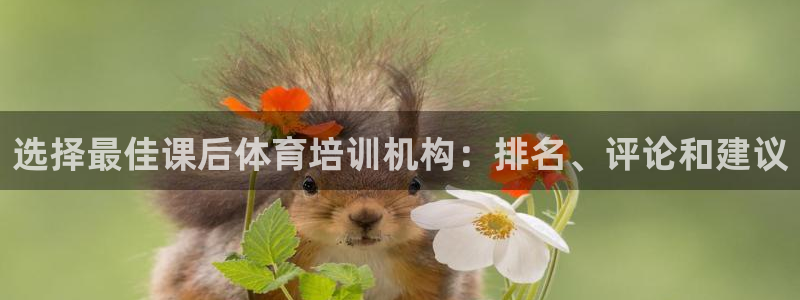 耀世平台重7O777：选择最佳课后体育培训机构：排名