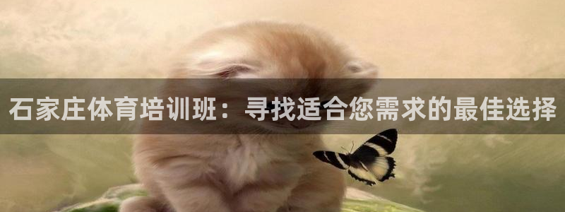 耀世娱乐电 5O6917 娱乐：石家庄体育培训班：寻