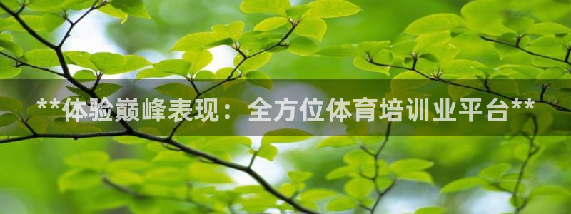 耀世天下图片大全：**体验巅峰表现：全方位体育培训业平台**