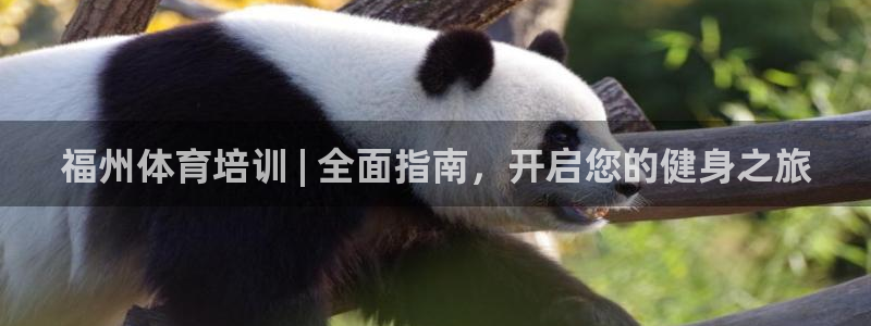 耀世平台佳 5O6917 耀世：福州体育培训 | 全