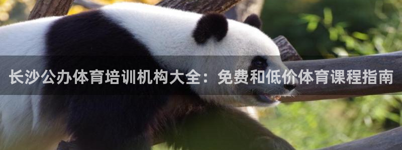 耀世捷科技：长沙公办体育培训机构大全：免费和低价体育课程指南