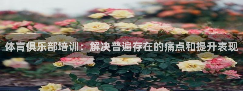 耀世平台登录地址：体育俱乐部培训：解决普遍存在的痛点