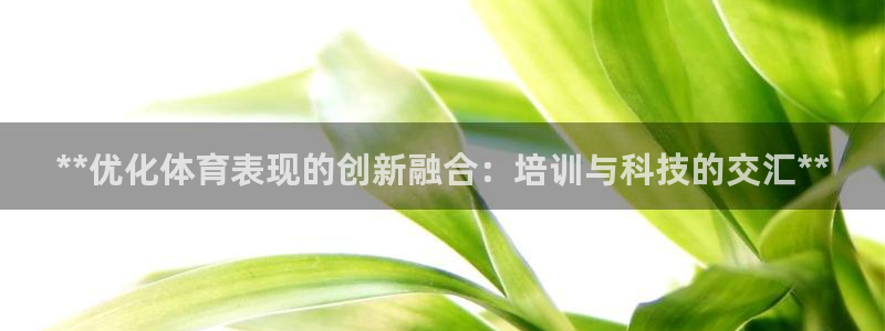 耀世集团视频直播：**优化体育表现的创新融合：培训与