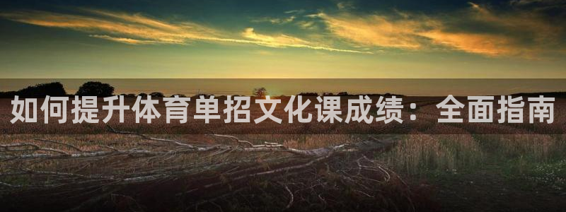 耀世官网：如何提升体育单招文化课成绩：全面指南