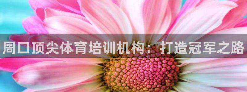 耀世集团小说：周口顶尖体育培训机构：打造冠军之路