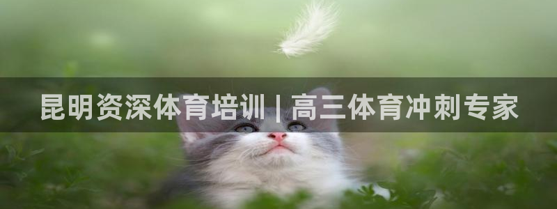 耀世娱乐间7O777：昆明资深体育培训 | 高三体育