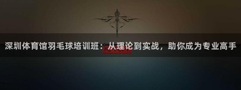 耀世平台：深圳体育馆羽毛球培训班：从理论到实战，助你