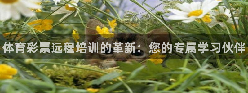 耀世娱乐登陆官网下载：体育彩票远程培训的革新：您的专