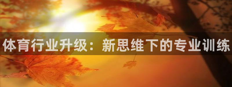 耀世娱乐在线登录官网入口网址：体育行业升级：新思维下