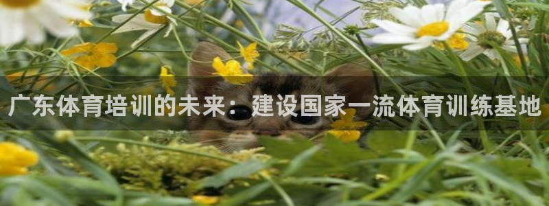 耀世娱乐网站：广东体育培训的未来：建设国家一流体育训