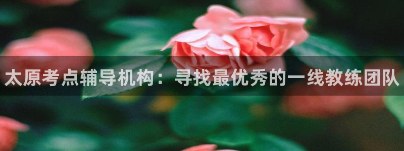 耀世集团总部在哪儿：太原考点辅导机构：寻找最优秀的一线教练团