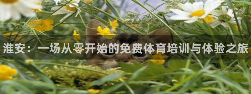 耀世平台佳 5O6917 耀世：淮安：一场从零开始的免费体育